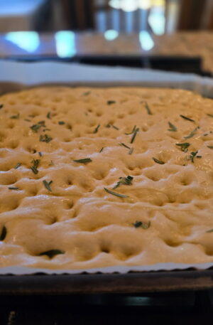 Organic Sourdough Focaccia
