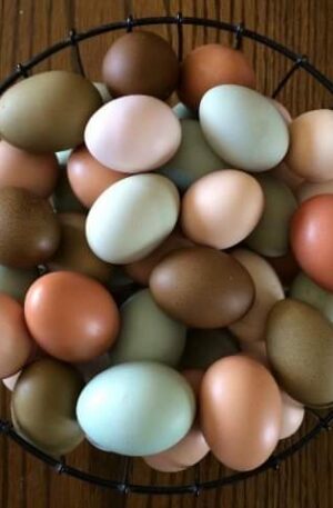 Farm Fresh Eggs; Dozen