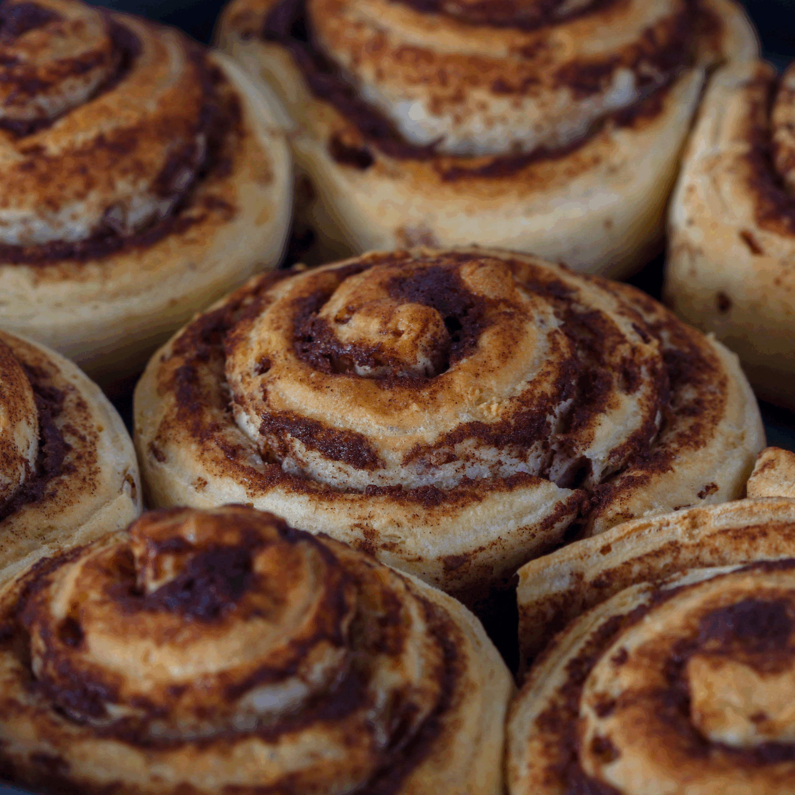 Organic Sourdough Cinnamon Rolls; Dozen