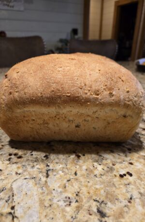 Organic Sourdough Sandwich Loaf