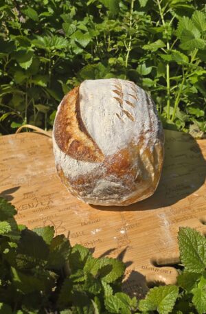 Organic Sourdough Round or Loaf Style